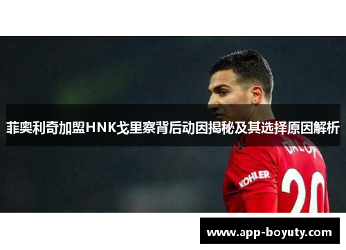 菲奥利奇加盟HNK戈里察背后动因揭秘及其选择原因解析