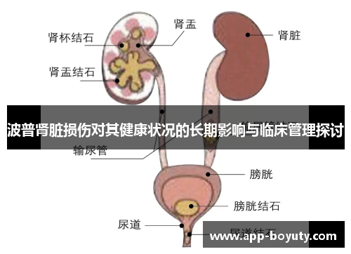 波普肾脏损伤对其健康状况的长期影响与临床管理探讨