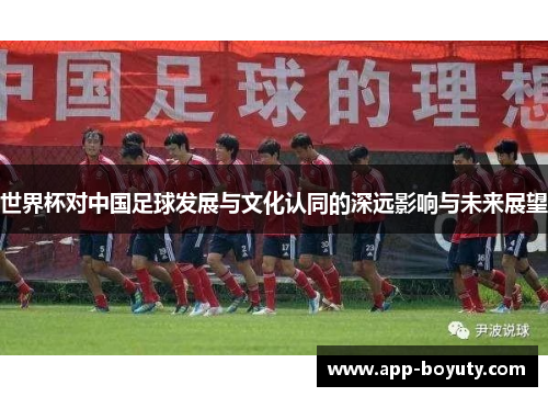 世界杯对中国足球发展与文化认同的深远影响与未来展望